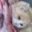 @angelsalamy-d6f Avatar