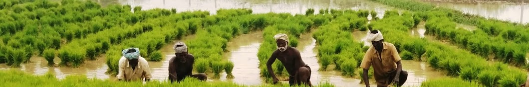 Digital Agriculture YouTube-Kanal-Avatar