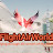 @FlightAirWorld.