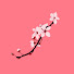 4p6BJObv7UA-channel-avatar-Mei’s Translations