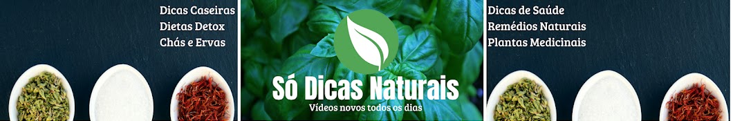 SÃ³ Dicas Naturais Avatar canale YouTube 