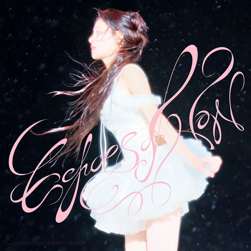 张碧晨资讯站-Diamond Station Logo