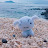 @자산가선생님