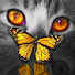 VaE_z7JmCL8-channel-avatar-Diamond cats, again. Алмазные котики