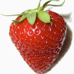 John Strawberrius Fields