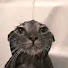DFASYtK6_qc-channel-avatar-camiio