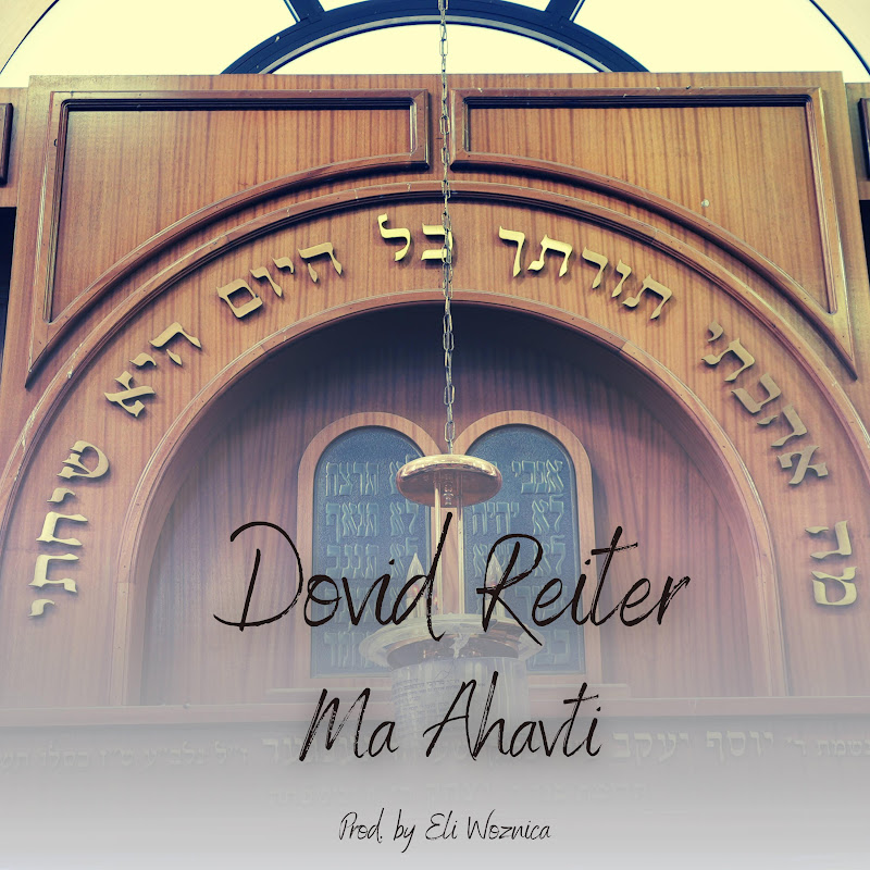 Dovid Reiter - Topic