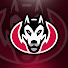 A4NeJQ-twTo-channel-avatar-St. Cloud State University Esports