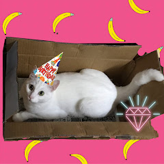 けーさんとたろーの【         】