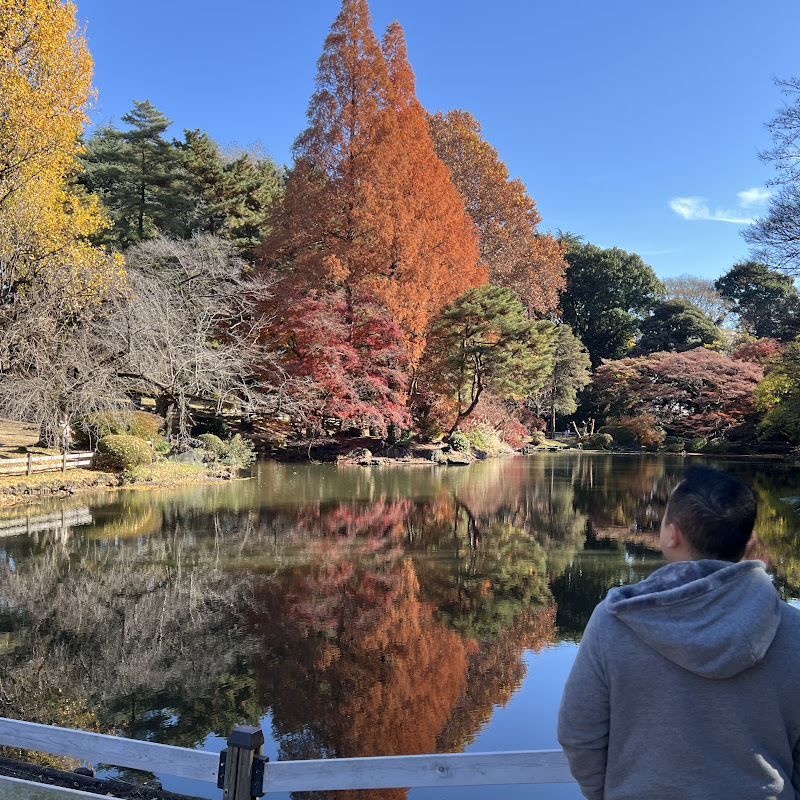 Solobayashi Travel