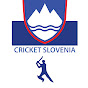 Slovenian Cricket Association  logo
