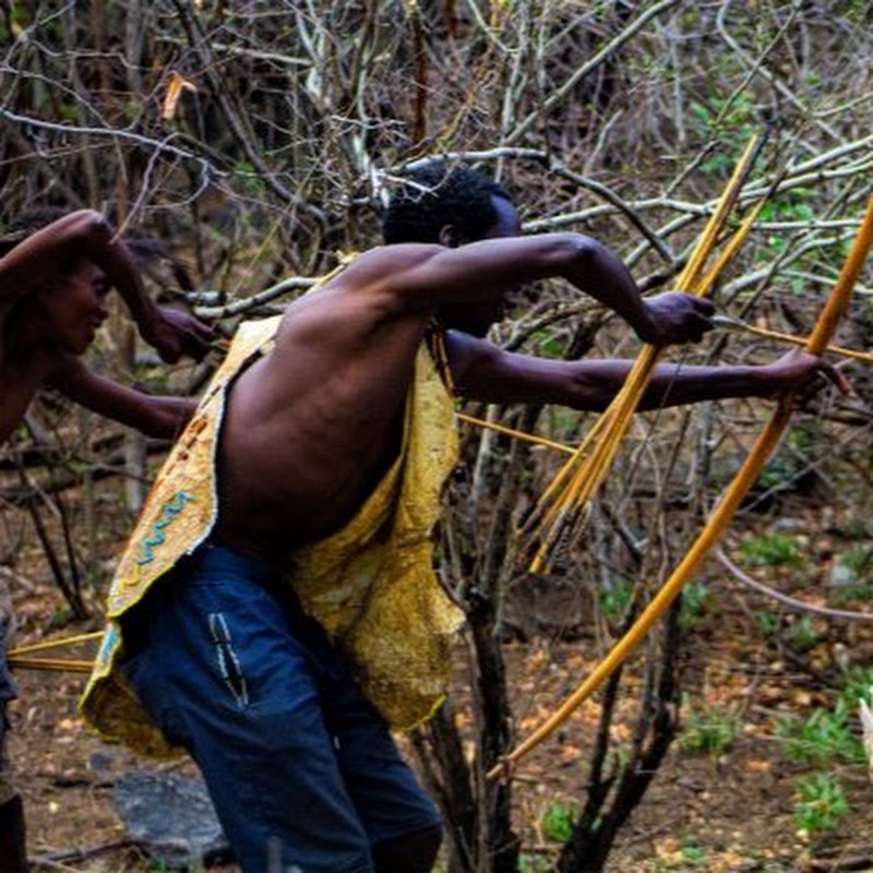 Channel Avatar