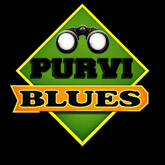 PURVI BLUES