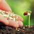 LTP7IpA8muM-channel-avatar-Lovers of God & Farmers of Jesus