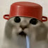 tMY-tnBVDDk-channel-avatar-Kxchtopf Clips and Kxchtopf