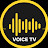 Voice Tv Nigeria