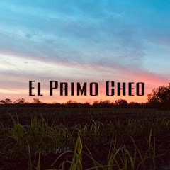 Aventuras del Primo Cheo net worth