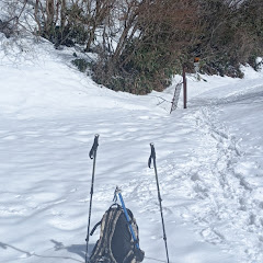 奥の山道アイコン画像