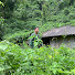 aBx_U5rkMX0-channel-avatar-Forest Nomad