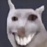 5hW0RoQC5jg-channel-avatar-MANNdontSMILE