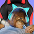 Cb6__jDJ40o-channel-avatar-2TXM Plays