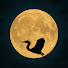 Channel Image