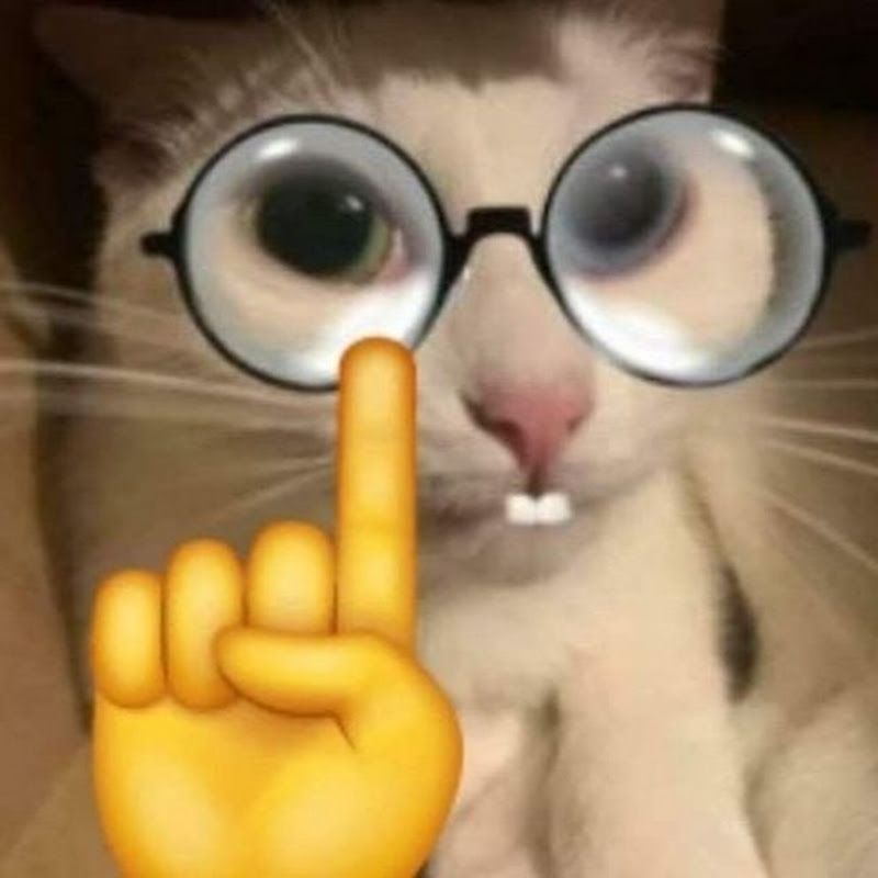 ℕ𝕖𝕤𝕔𝕒𝕗𝕖́