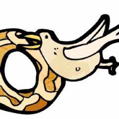 Bagel Bird