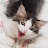 @모렌도-z1l