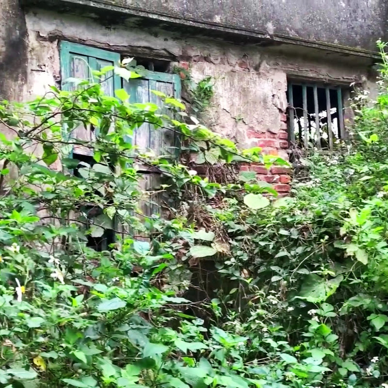 Cleanup Overgrown Logo