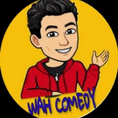 COMEDY VIDEO IS YOUTUBER 