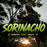 gU3e4e35i9U-channel-avatar-Sorinacho