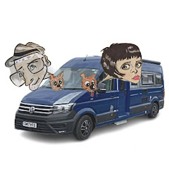 Poshcats Camping Avatar