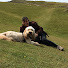 5abR-_7R1gY-channel-avatar-Pet Talk With Ana and Teddy