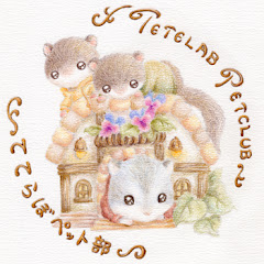 ててらぼペット部