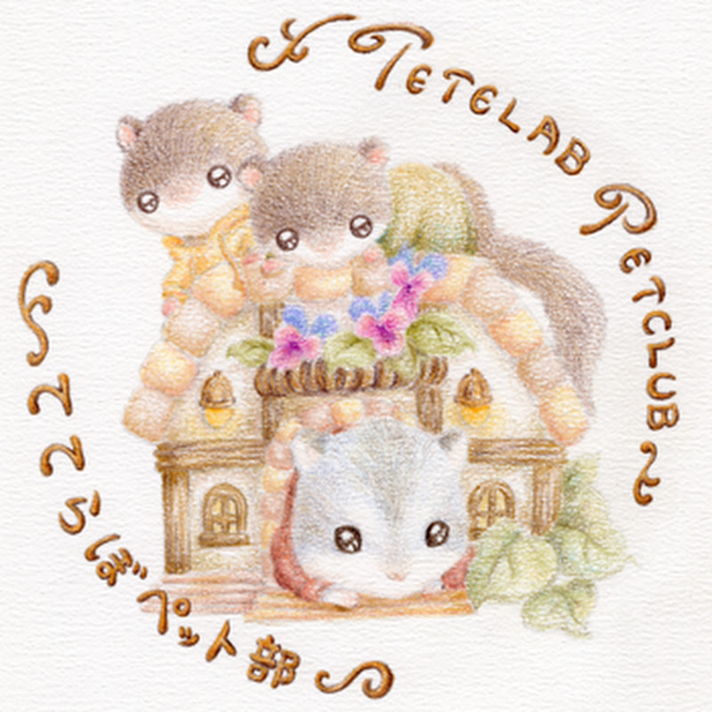 ててらぼペット部