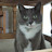 @user-hq6ov9vc6v's avatar