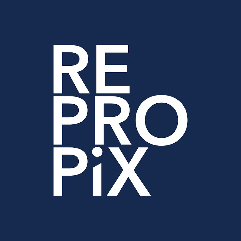 REPROPiX Corp. icon