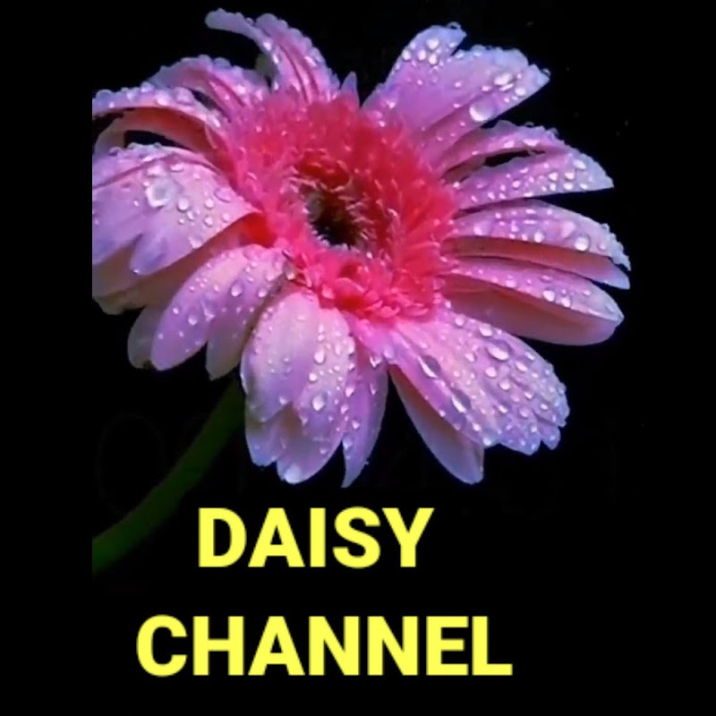 Daisy  channel