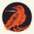 cXSBVnoMNrc-channel-avatar-Crowmudgeon