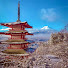 1LYNXfqoDKI-channel-avatar-JapFan8🎌