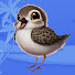 likV_2lxxWA-channel-avatar-Little Sandpiper