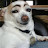 @CrtzA's avatar