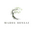 QiIaREp6Pio-channel-avatar-Maros Bonsai Channel