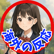 高校生の翻訳家【海外の反応】
