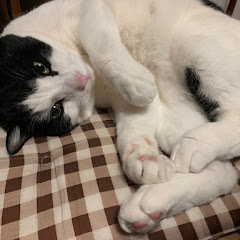 わからせ隊アイコン画像