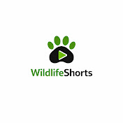 Wildlifeshorts