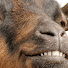 HMWh7ROyJls-channel-avatar-Greek Gaming Goat
