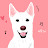 White Jindo NAMU