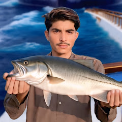 Aijaz fish dealer